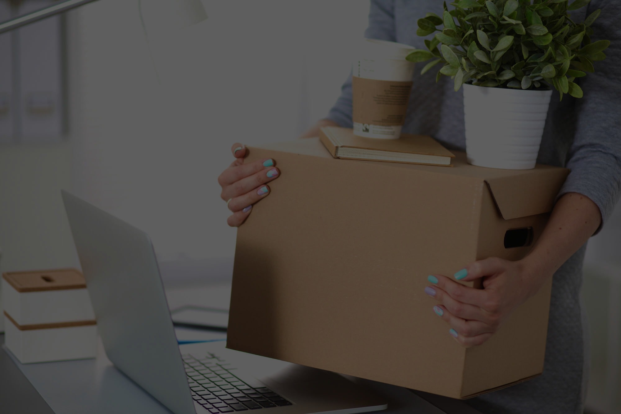 budget friendly movers