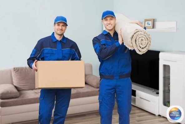 professional movers